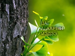 ЦАГ АГААР: Улаанбаатарт өдөртөө 28 хэм дулаан