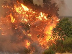 Испани улс Европын түнш орнуудаасаа тусламж хүслээ