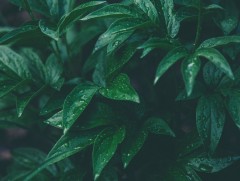 Ирэх 10 хоногт цаг агаар ямар байх вэ