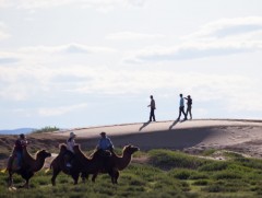 Он гарсаар 617 мянга гаруй жуулчин иржээ