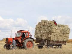 Ховд аймагт хадлан бэлтгэл дуусах шатандаа оржээ