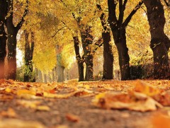 Ойрын 10 хоногийн цаг агаарын урьдчилсан төлөв