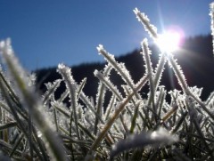 Есдүгээр сарын 16-17-нд шилжих шөнө газар тариалангийн бүс нутгаар хүйтэрнэ 