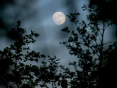 ЦАГ АГААР: Улаанбаатарт шөнөдөө 9 хэм дулаан