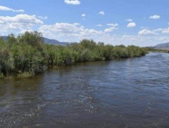 Зарим гол үертэй байна 