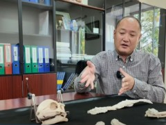 108-115 сая жилийн өмнөх үед хамаарах 