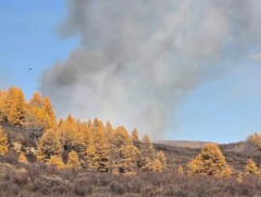 Хөвсгөл аймгийн Цагааннуур суманд ойн түймэр гарчээ   