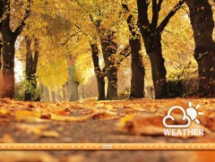 ЦАГ АГААР: Улаанбаатарт өдөртөө 17 хэм дулаан