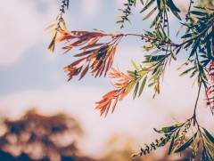 Ирэх 10 хоногт цаг агаар ямар байх вэ 