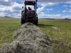Намрын өнгө орж, хадлан бэлтгэлийн их ажил шувтарч байна