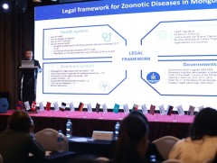 Олон улсын эрдэмтэн, судлаачид тарваган тахлын эсрэг хэрэгжүүлэх гарц шийдлийг хэлэлцэж байна