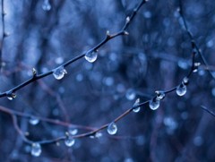 Өнгөрөгч наймдугаар сар 38 дахь бага тунадастай сар байжээ 