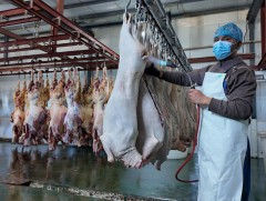 ХХААХҮЯ-ны Ажлын хэсэг махны үйлдвэр, усалгаатай тариалан төслийн үйл явцтай танилцлаа