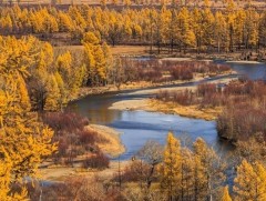 Намрын хуурайшилт эхэлж байгаатай холбогдуулан ой хээрийн түймрээс сэрэмжлүүлж байна