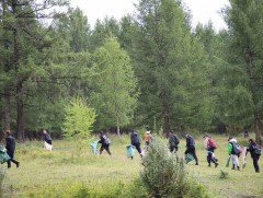 Улаанбаатар хотын ногоон бүсийг цэвэрлэж байна