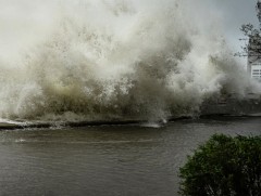 Энэ оны хамгийн хүчтэй хар салхи Хятадын өмнөд хэсэгт хүрлээ 