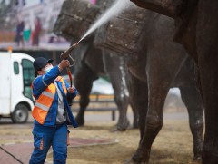 Тохижилт, үйлчилгээний ажилчдын цалин 3,5 сая төгрөг болсноор залуусын тоо нэмэгджээ