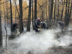 Хөвсгөл аймгийн Цагааннуур суманд гарсан ойн түймрийг бүрэн унтраалаа