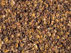 Хуш модны самрын ясаар био нүүрс хийжээ