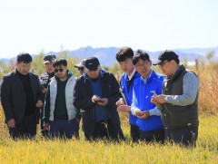 Монголд тохирсон цагаан будааны сорт нутагшуулах туршилтын тариалан амжилттай болжээ