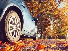 ЦАГ АГААР: Улаанбаатарт өдөртөө 11 хэм дулаан