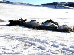 Нийт нутгийн 46 хувьд цастай байна