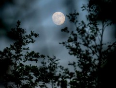 ЦАГ АГААР: Улаанбаатарт шөнөдөө 8 хэм хүйтэн 