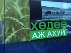 Манай улс жилд нийт тариалалтынхаа 10 хүрэхгүй хувьд төмс, хүнсний ногоо тариалдаг