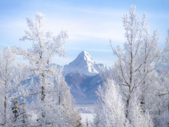 Ирэх саруудын цаг агаарын ерөнхий төлөв