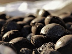 Хагас коксон шахмал түлш тохирлын гэрчилгээтэй боллоо