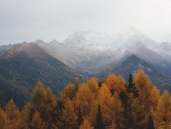 Хоёрдугаар арав хоногийн дунд үед ихэнх нутгаар хүйтэрч, хур тунадас орох төлөвтэй байна