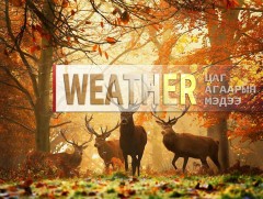 ЦАГ АГААР: Улаанбаатарт өдөртөө 11 хэм дулаан