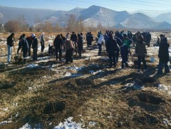 Цөлжилттэй тэмцэх НҮБ-ын конвенцын талуудын 17 дугаар бага хурлын хүрээнд 4500 гаруй мод бут тарина