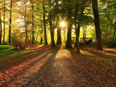 Өнгөрөгч есдүгээр сар 10 дахь дулаан сар болж өнгөрлөө