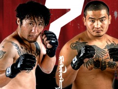 Баянхонгор аймагт холимог тулааны тэмцээн болно