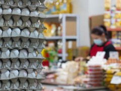 Гарал үүсэл нь тодорхойгүй цагаан будаа, өндөг, тахианы мах их хэмжээгээр оруулж ирэх зөрчил буура..