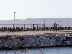 Грек улс орогнол хүсэгчдийг хорих ялаар шийтгэх хатуу хууль баталжээ