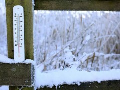 Өнгөрөгч 10 хоногт 1981 оноос хойших хамгийн хүйтэн хоногууд тохиолоо