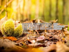 ЦАГ АГААР: Улаанбаатарт өдөртөө 11 хэм дулаан 