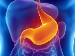 Хеликобактери ходоодны хорт хавдар үүсгэх нэг шалтгаан болж байна 
