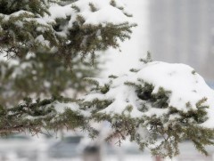 Арваннэгдүгээр сарын цаг агаарын ерөнхий төлөв