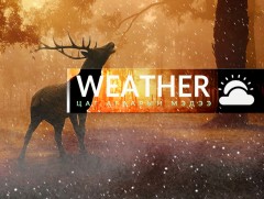 ЦАГ АГААР: Нийт нутгаар цаг агаар тогтуун, өдөртөө бага зэрэг дулаарна