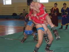 Өсвөр үе, залуучуудын улсын аварга шалгаруулах барилдааны тов өөрчлөгдлөө