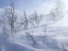 Маргаашаас ихэнх нутгаар хүйтний эрч чангарна