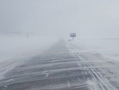 Говийн аймгуудын нутгаар цас орж, цасан шуурга шуурна