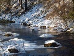 ЦАГ АГААР: Улаанбаатарт өдөртөө 7 хэм хүйтэн