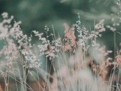 ЦАГ АГААР: Улаанбаатарт өдөртөө 2 хэм хүйтэн