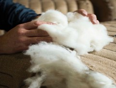 Цагаан алт хөтөлбөрийн үр дүнд экспортыг 2-3 дахин нэмэгдүүлэх боломжтой