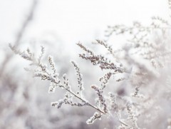 ЦАГ АГААР: Улаанбаатарт өдөртөө 11 хэм хүйтэн