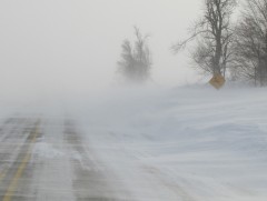 Өнөөдөр Дорнод аймгийн хойд хэсгээр цасан шуурга шуурна